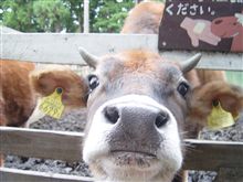 初体験(*&#180;д｀*)ｱﾊｧ