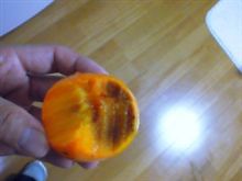 ｼﾞｪﾈﾚｰｼｮﾝｷﾞｬｯﾌﾟ