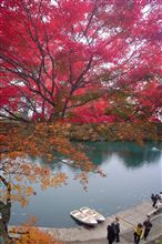 紅葉狩り。その１