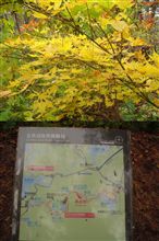 紅葉狩り。その２