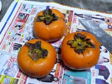 柿食えば 柿食えば