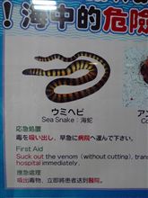 これは・・・
