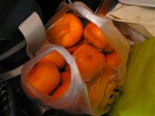 柿食えば2 柿食えば2