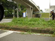 参加しない理由