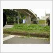 参加しない理由