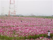 あいたた。