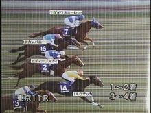 競馬はロマンやなぁ～。