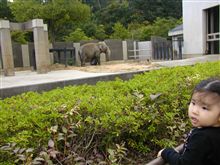 ちょっと動物園へ
