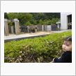 ちょっと動物園へ