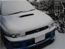 ( ﾟДﾟ)…雪