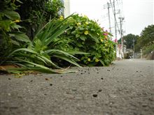 眠り続ける理由 