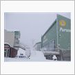 根雪になるのか！？
