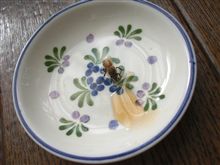ハチミツパワー!! ハチミツパワー!!