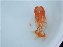 気がつけば・・・
