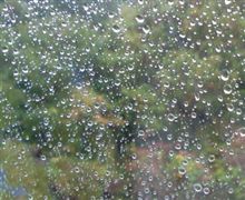 雨