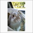 “Access OdyssE ...