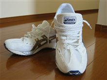 新しい相棒♪ 