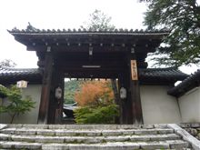 紅葉はどうかな・・・