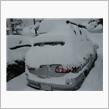 リバティ・・・・そして雪・・ ...