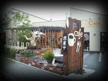 ちょっと気分を変えて （＾o＾ヾ