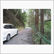 やはり林道がよく似合う