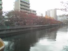 紅葉です