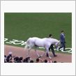 お馬さん
