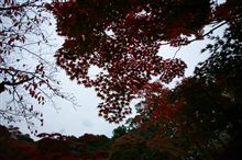 蒜山高原紅葉オフのもう一つの裏話 