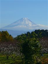 リベンジな野田～！ 