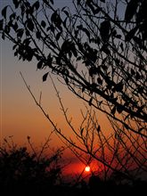 綺麗な夕日でした♪