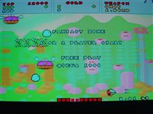 ゲームソフトを久しぶりに買いました