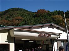 紅葉調査隊♪