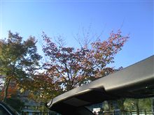 京都ランチオフします♪