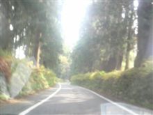 日光