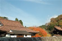 紅葉見にドライブ