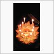 嫁の誕生日・・・