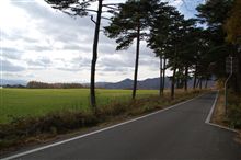 今日までこんな感じだったけど…