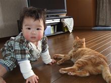 ８ヶ月♪