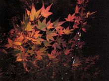 香嵐渓に夜撮に行った～