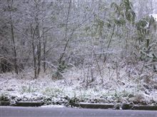 (_ _ )/ﾊﾝｾｲ　やっぱりね・・・・・