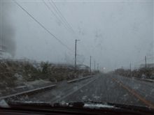 雪　降っちゃった