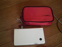 DSi