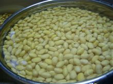 味噌作りその①