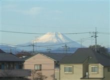 シリーズ『今日の富士山』08.11.23