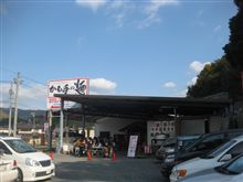 うどん祭