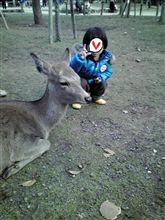奈良公園～