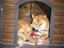 仲が良いのか？