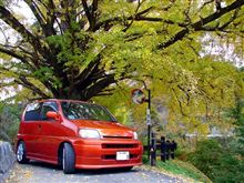 房総半島も少しずつ紅葉に