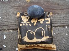 くろいいろのブツ