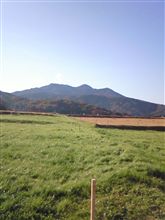今年流行ったなー…